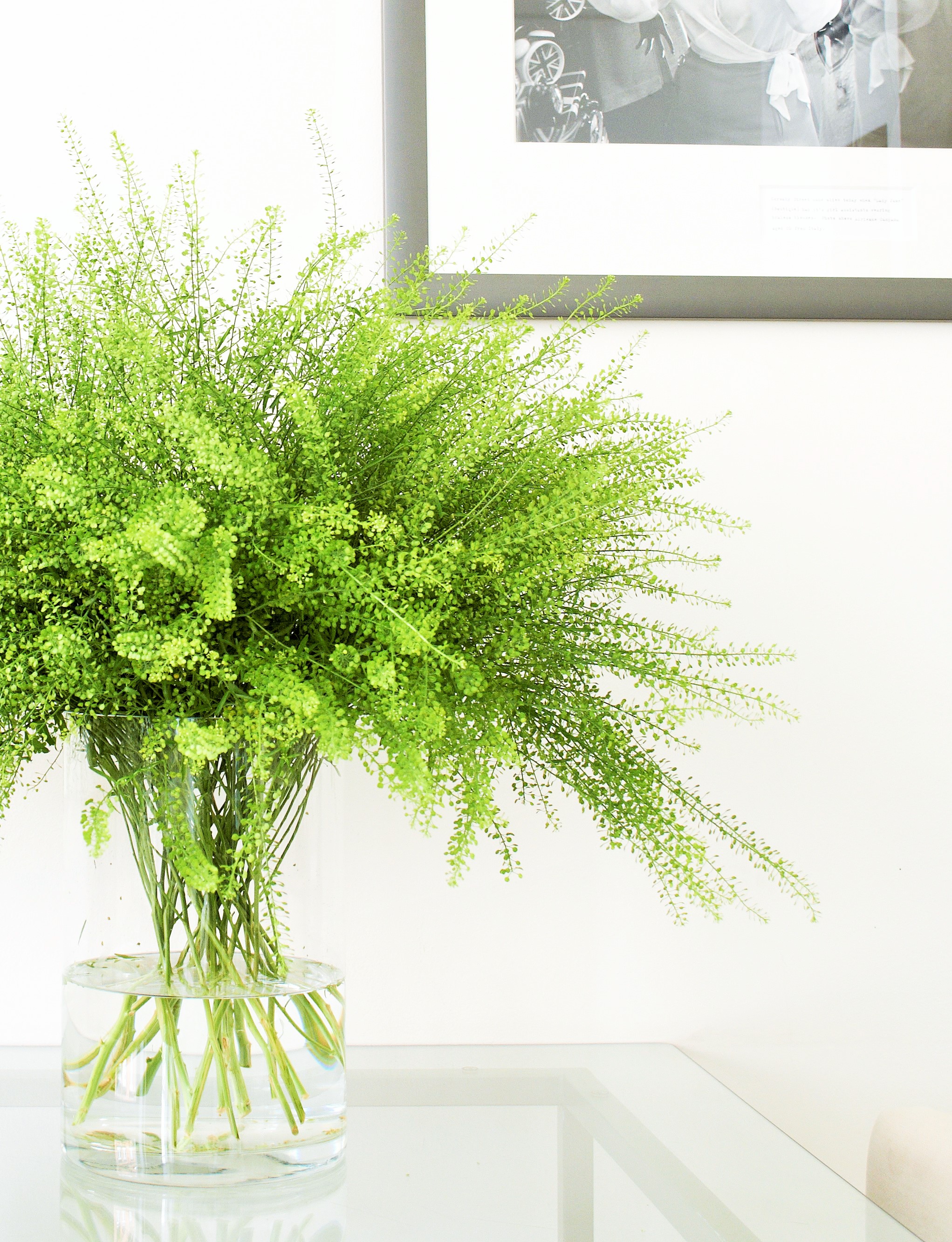 Maddox Street - Luxury Three Bedroom Apartment thumbnail 6